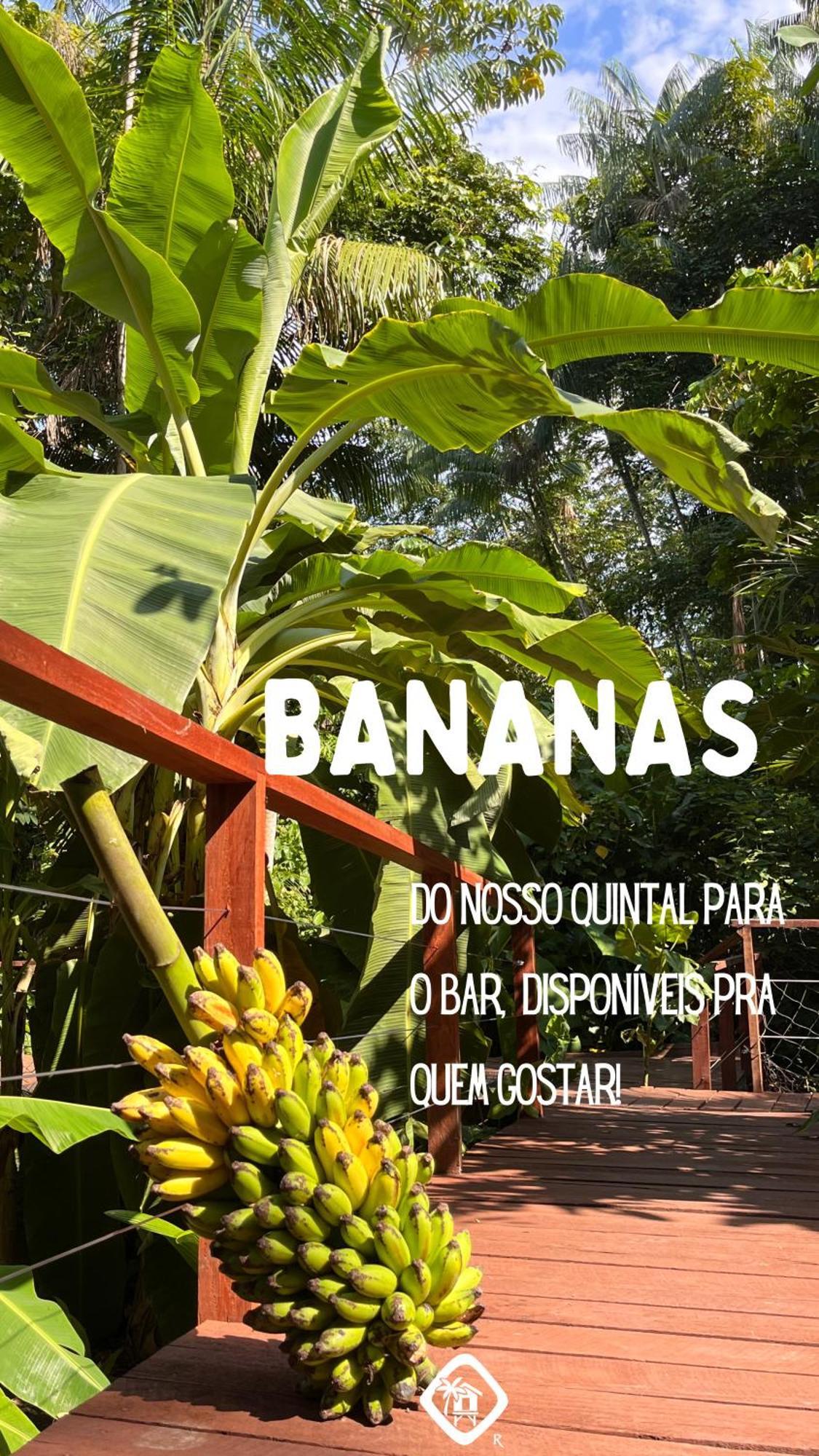 Olaria River Hostel 벨렘 외부 사진