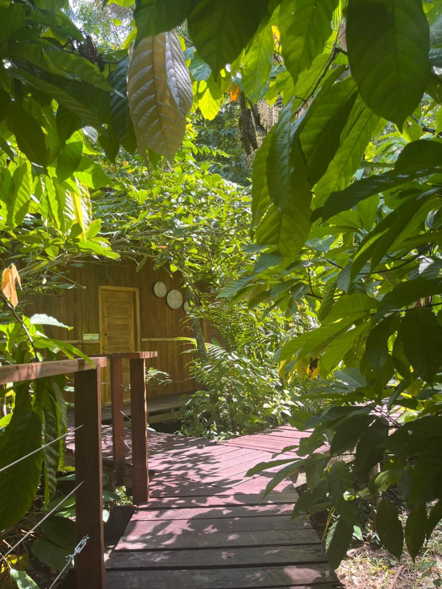 Olaria River Hostel 벨렘 외부 사진