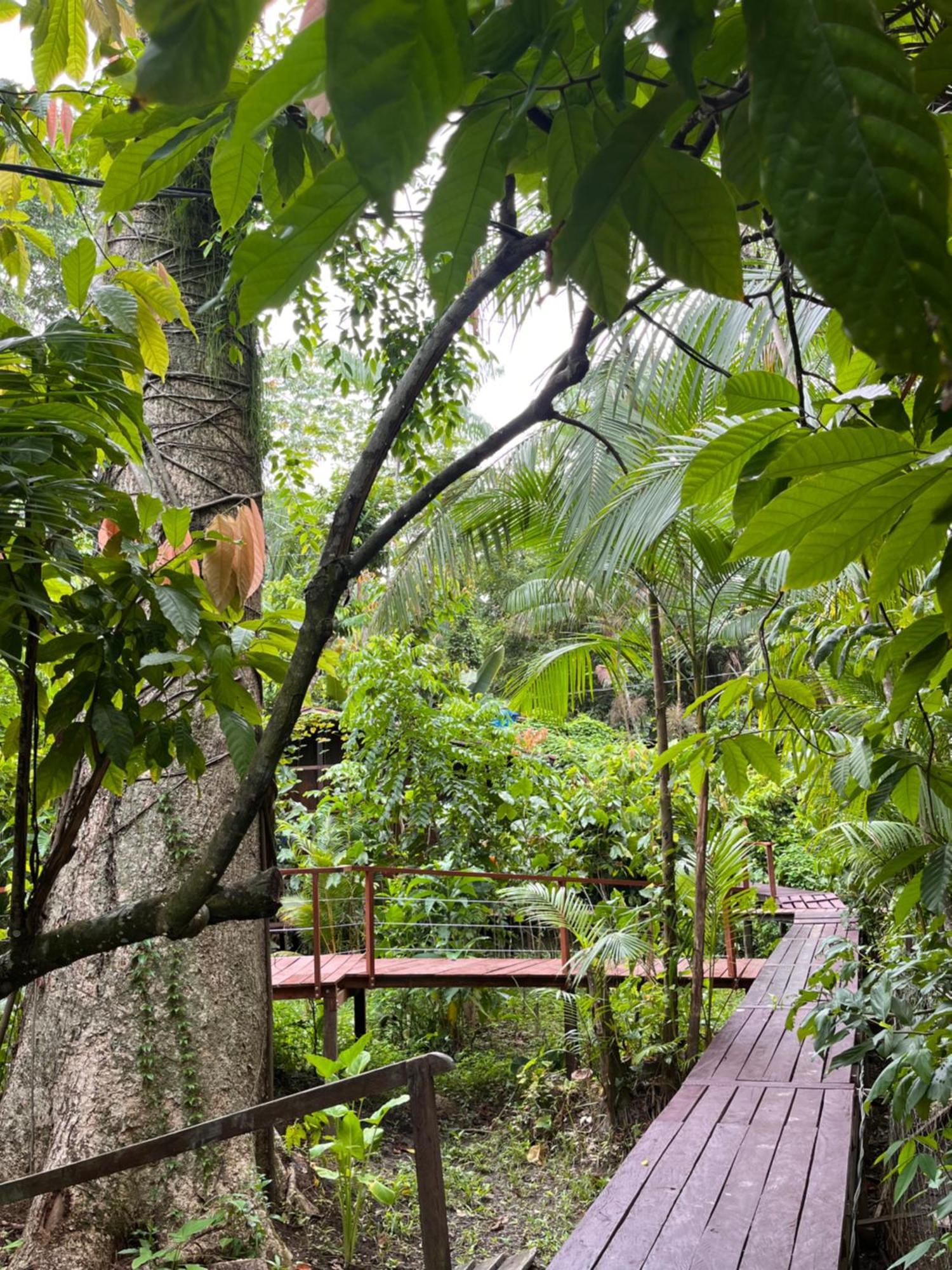 Olaria River Hostel 벨렘 외부 사진