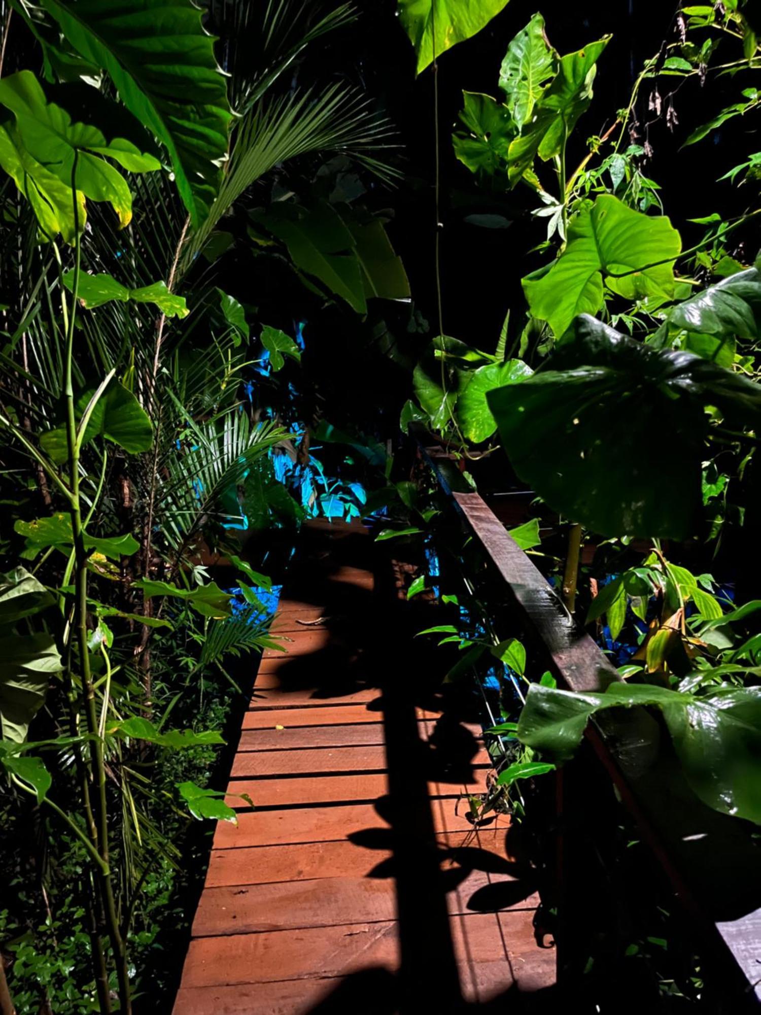 Olaria River Hostel 벨렘 외부 사진