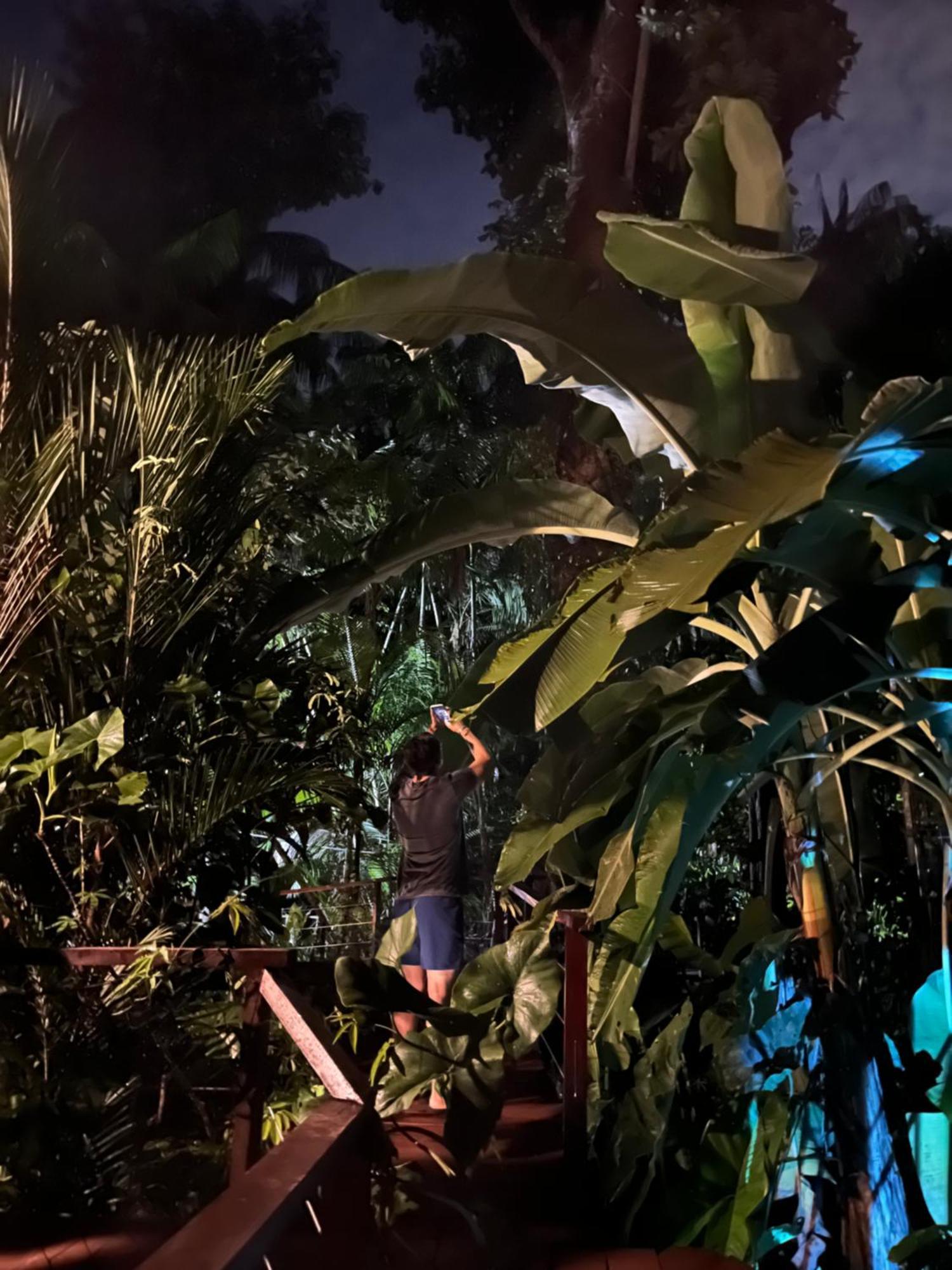Olaria River Hostel 벨렘 외부 사진